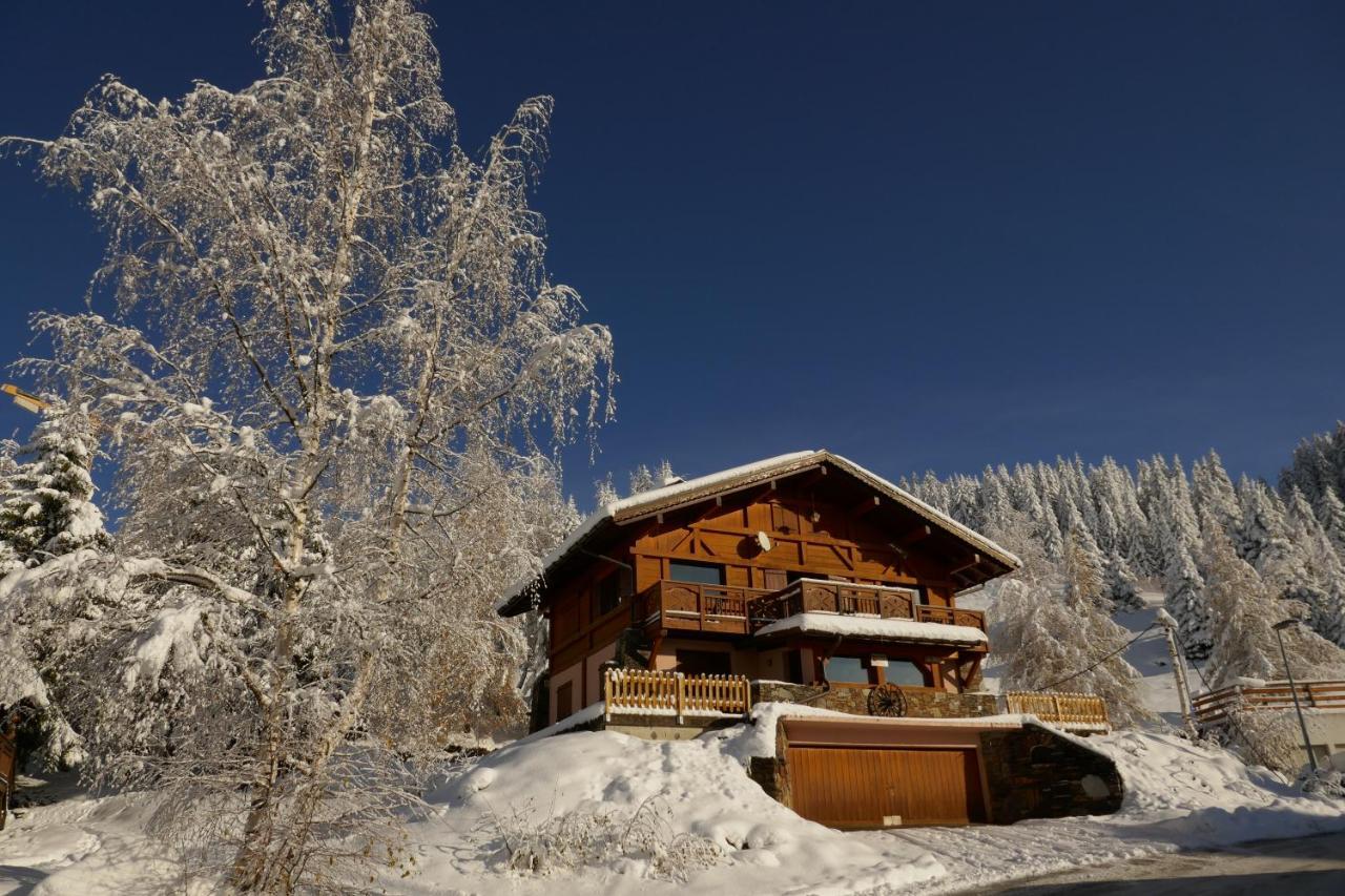 Les Saisies Cote Bisanne Appartement Dans Chalet Le Nepal Zewnętrze zdjęcie
