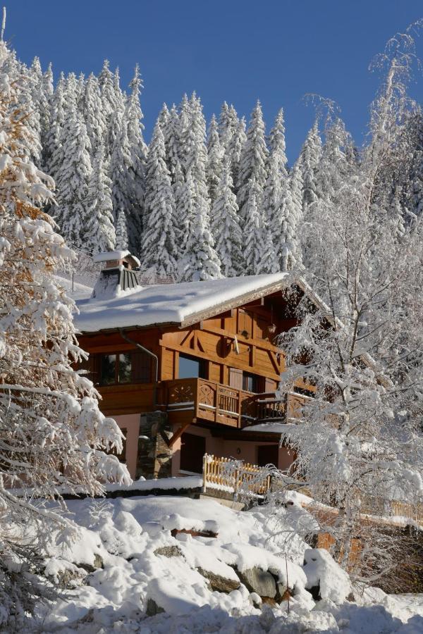 Les Saisies Cote Bisanne Appartement Dans Chalet Le Nepal Zewnętrze zdjęcie